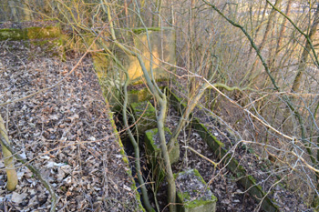 Reichsautobahn Strecke 81 Gerstungen Widerlager Brckenruine Eisenbahnbrcke 98