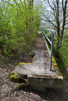 Reichsautobahnbrcke Strecke 37 Koblenz - Mehren Dornrschenbrcke 07